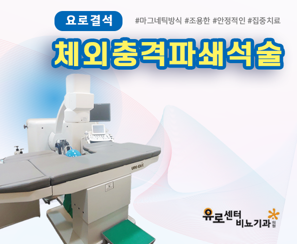 요로결석 체외충격파쇄석술