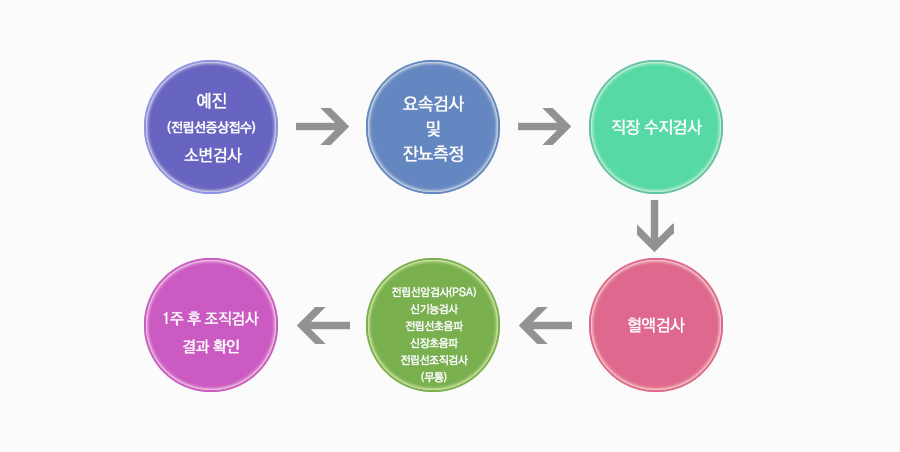 전립선암 진료 프로세스
