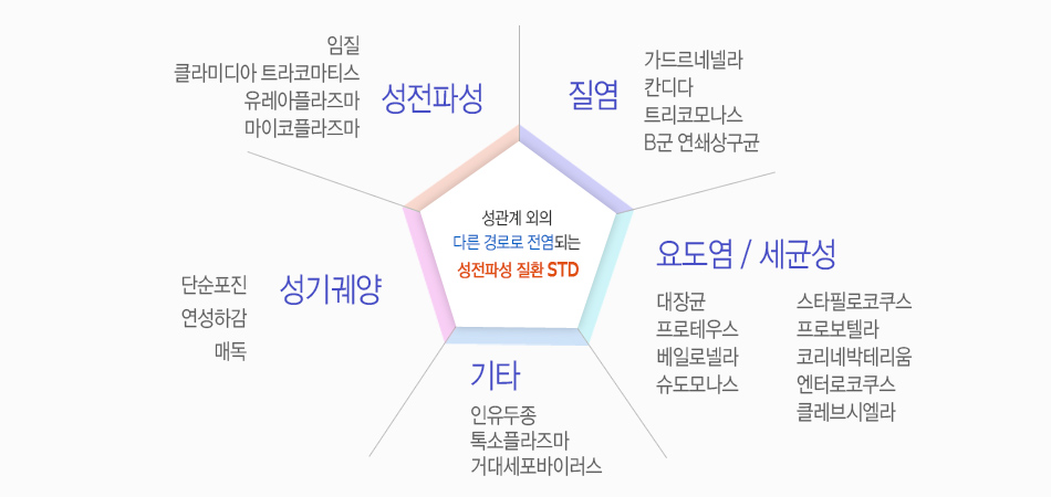 성관계 외의 다른 경로로 전염되는 성전파성 질환 STD 설명 이미지